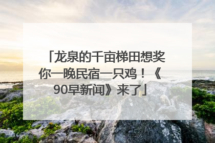 龙泉的千亩梯田想奖你一晚民宿一只鸡！《90早新闻》来了