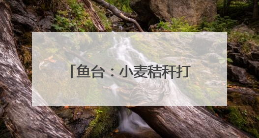 鱼台：小麦秸秆打捆离田综合利用
