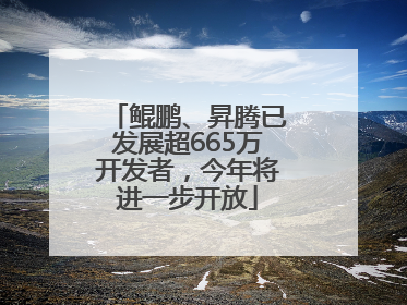 鲲鹏、昇腾已发展超665万开发者，今年将进一步开放