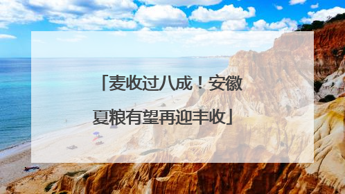 麦收过八成！安徽夏粮有望再迎丰收
