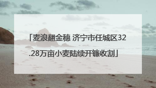 麦浪翻金穗 济宁市任城区32.28万亩小麦陆续开镰收割