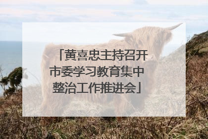 黄喜忠主持召开市委学习教育集中整治工作推进会