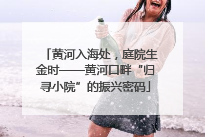 黄河入海处，庭院生金时——黄河口畔“归寻小院”的振兴密码