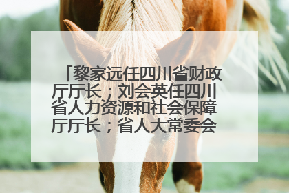 黎家远任四川省财政厅厅长；刘会英任四川省人力资源和社会保障厅厅长；省人大常委会任免一批干部