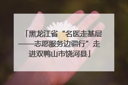 黑龙江省“名医走基层——志愿服务边疆行”走进双鸭山市饶河县