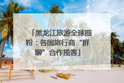 黑龙江旅游全球圈粉：各国旅行商“群聊”合作揽客