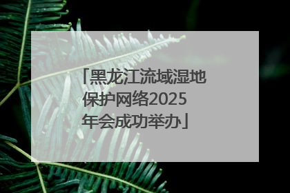 黑龙江流域湿地保护网络2025年会成功举办