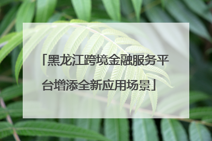 黑龙江跨境金融服务平台增添全新应用场景