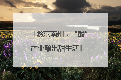黔东南州：“酸”产业酿出甜生活