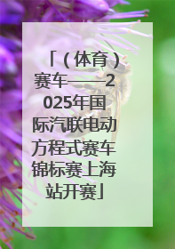 （体育）赛车——2025年国际汽联电动方程式赛车锦标赛上海站开赛