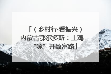 （乡村行·看振兴）内蒙古鄂尔多斯：土鸡“啄”开致富路