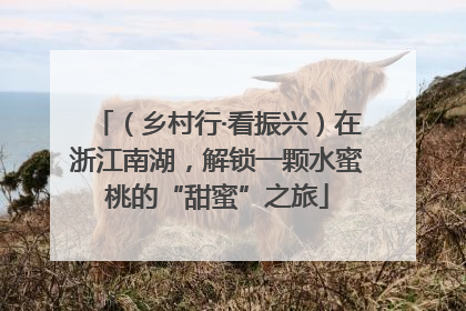 （乡村行·看振兴）在浙江南湖，解锁一颗水蜜桃的“甜蜜”之旅