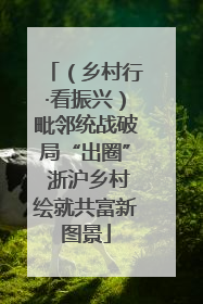 （乡村行·看振兴）毗邻统战破局“出圈” 浙沪乡村绘就共富新图景