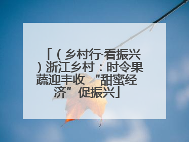 （乡村行·看振兴）浙江乡村：时令果蔬迎丰收 “甜蜜经济”促振兴