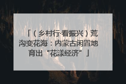 （乡村行·看振兴）荒沟变花海：内蒙古闲置地育出“花漾经济”