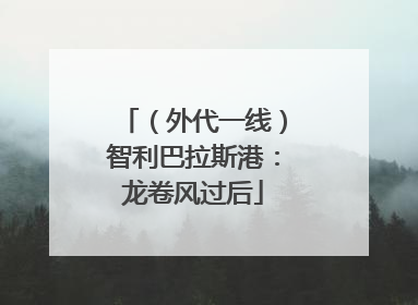 （外代一线）智利巴拉斯港：龙卷风过后
