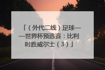 （外代二线）足球——世界杯预选赛：比利时胜威尔士（3）
