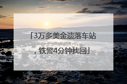 3万多美金遗落车站，铁警4分钟找回