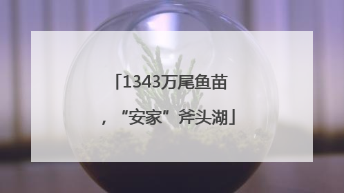 1343万尾鱼苗，“安家”斧头湖