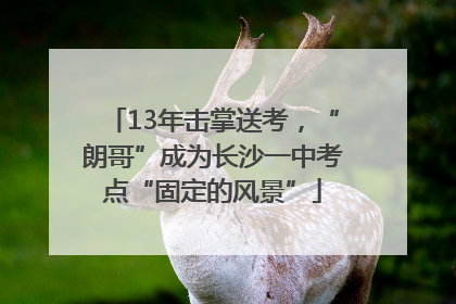 13年击掌送考，“朗哥”成为长沙一中考点“固定的风景”