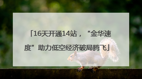 16天开通14站，“金华速度”助力低空经济破局腾飞