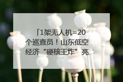 1架无人机=20个巡查员！山东低空经济“硬核王炸”亮相青岛，下一个万亿赛道藏在这里