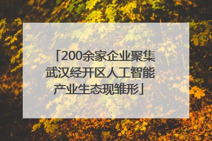 200余家企业聚集 武汉经开区人工智能产业生态现雏形
