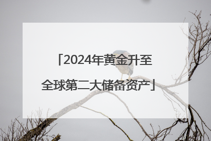 2024年黄金升至全球第二大储备资产