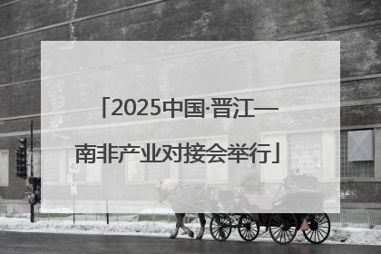 2025中国·晋江—南非产业对接会举行