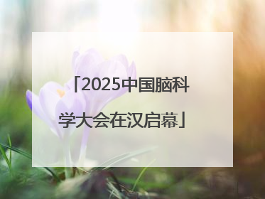2025中国脑科学大会在汉启幕