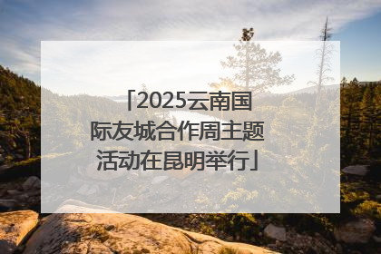 2025云南国际友城合作周主题活动在昆明举行