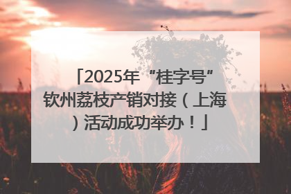 2025年“桂字号”钦州荔枝产销对接（上海）活动成功举办！