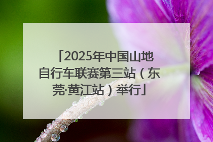 2025年中国山地自行车联赛第三站（东莞·黄江站）举行
