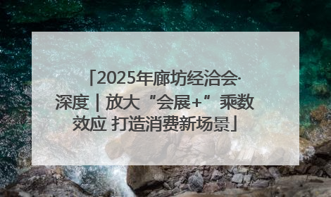 2025年廊坊经洽会·深度｜放大“会展+”乘数效应 打造消费新场景