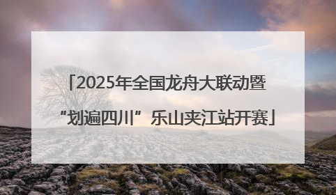 2025年全国龙舟大联动暨“划遍四川”乐山夹江站开赛