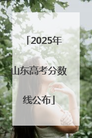 2025年山东高考分数线公布