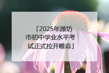 2025年潍坊市初中学业水平考试正式拉开帷幕