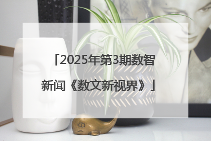 2025年第3期数智新闻《数文新视界》