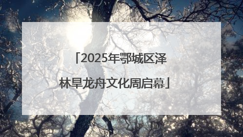 2025年鄂城区泽林旱龙舟文化周启幕
