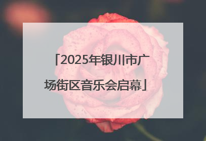 2025年银川市广场街区音乐会启幕