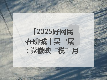 2025好网民·在聊城｜吴聿晟：党徽映“税”月 网播传政声