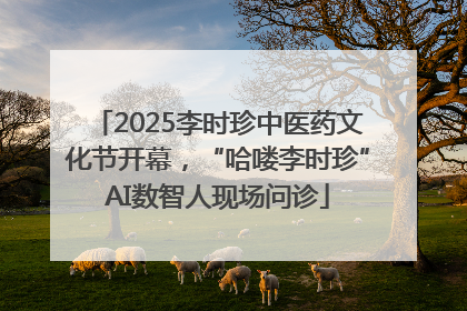 2025李时珍中医药文化节开幕，“哈喽李时珍”AI数智人现场问诊