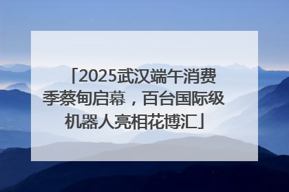 2025武汉端午消费季蔡甸启幕，百台国际级机器人亮相花博汇