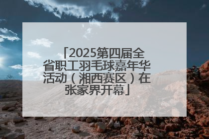 2025第四届全省职工羽毛球嘉年华活动（湘西赛区）在张家界开幕
