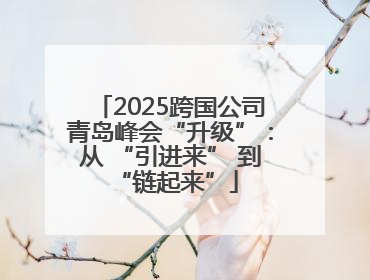 2025跨国公司青岛峰会“升级”：从 “引进来” 到 “链起来”