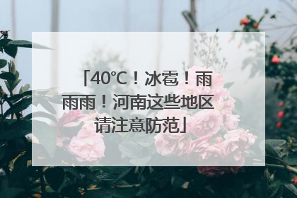 40℃！冰雹！雨雨雨！河南这些地区 请注意防范