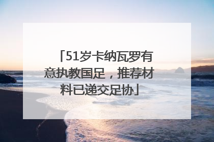 51岁卡纳瓦罗有意执教国足，推荐材料已递交足协