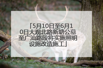 5月10日至6月10日大观北路新塘公墓至广汕路段将实施照明设施改造施工