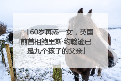 60岁再添一女，英国前首相鲍里斯·约翰逊已是九个孩子的父亲