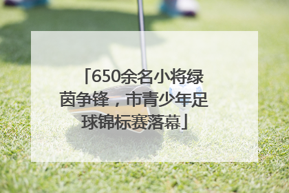 650余名小将绿茵争锋，市青少年足球锦标赛落幕
